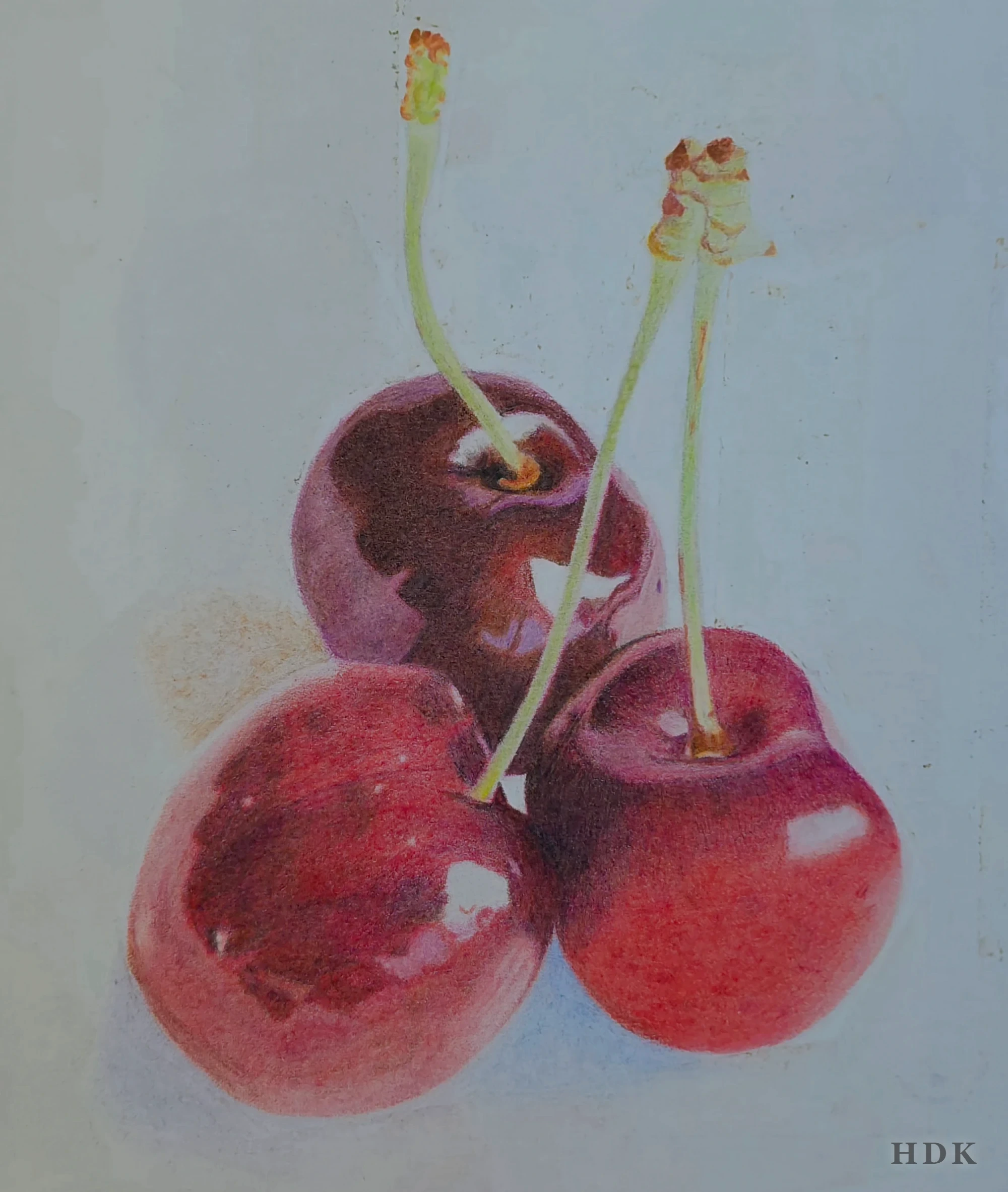 Cherries — colored-pencil drawing by Helia D. Karisani (HDK)